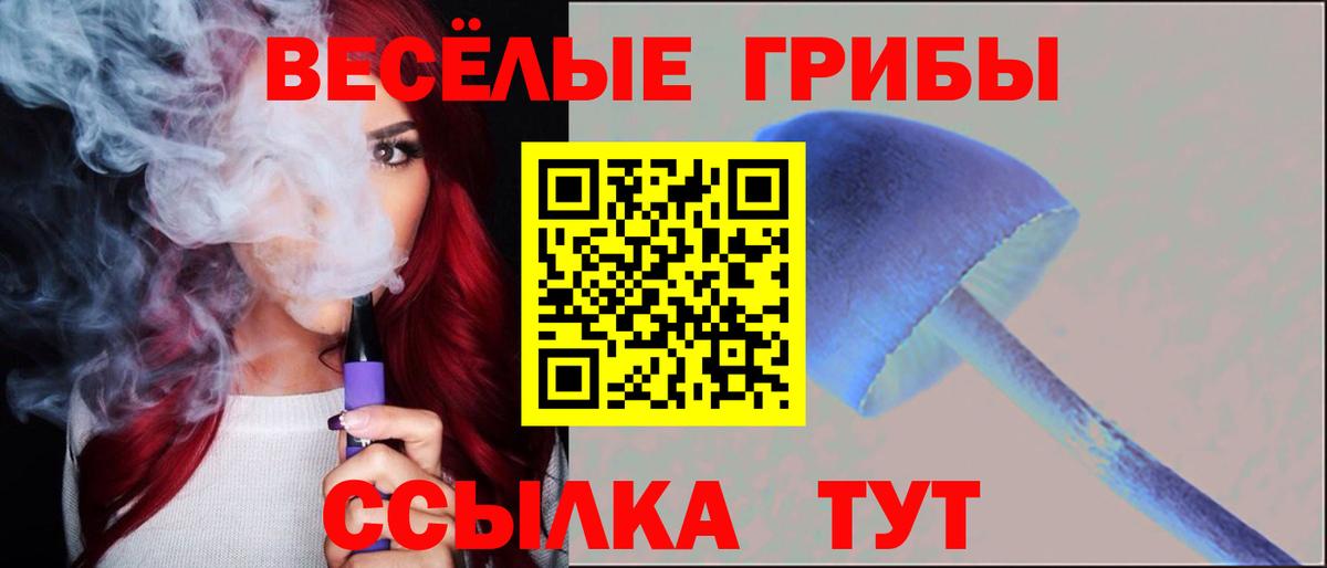 Псилоцибиновые грибы Cubensis Янаул